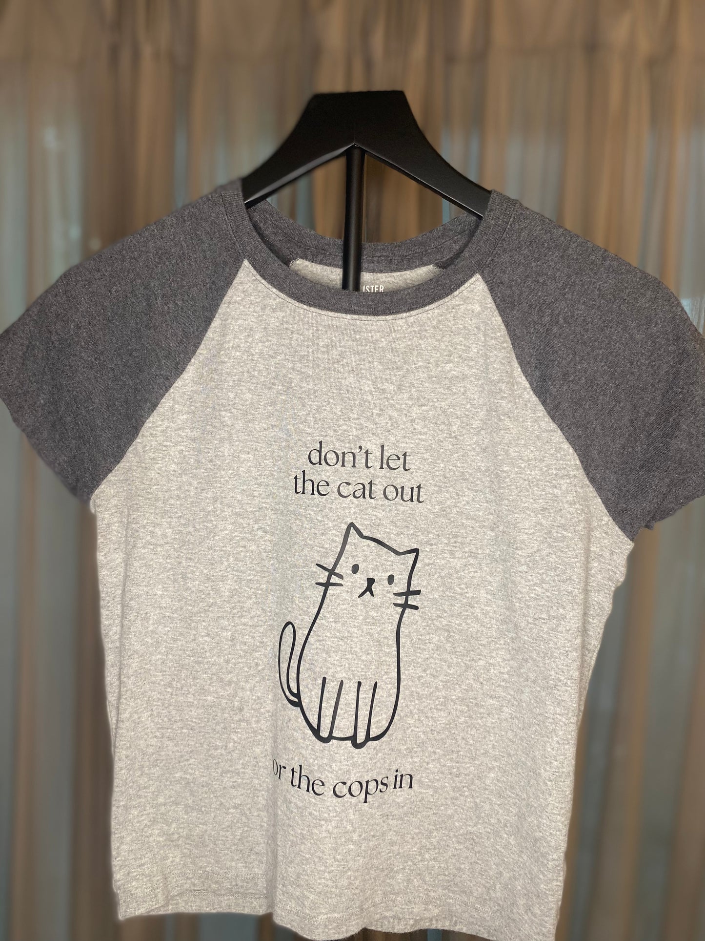 Don't Let Cat Out | T-Shirt | Hollister | Gray | Women's Large